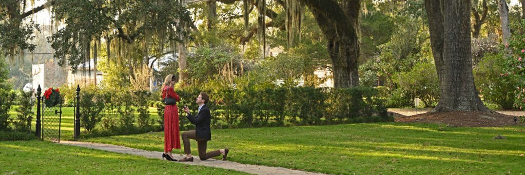 Allyce Trapp Alexander banner