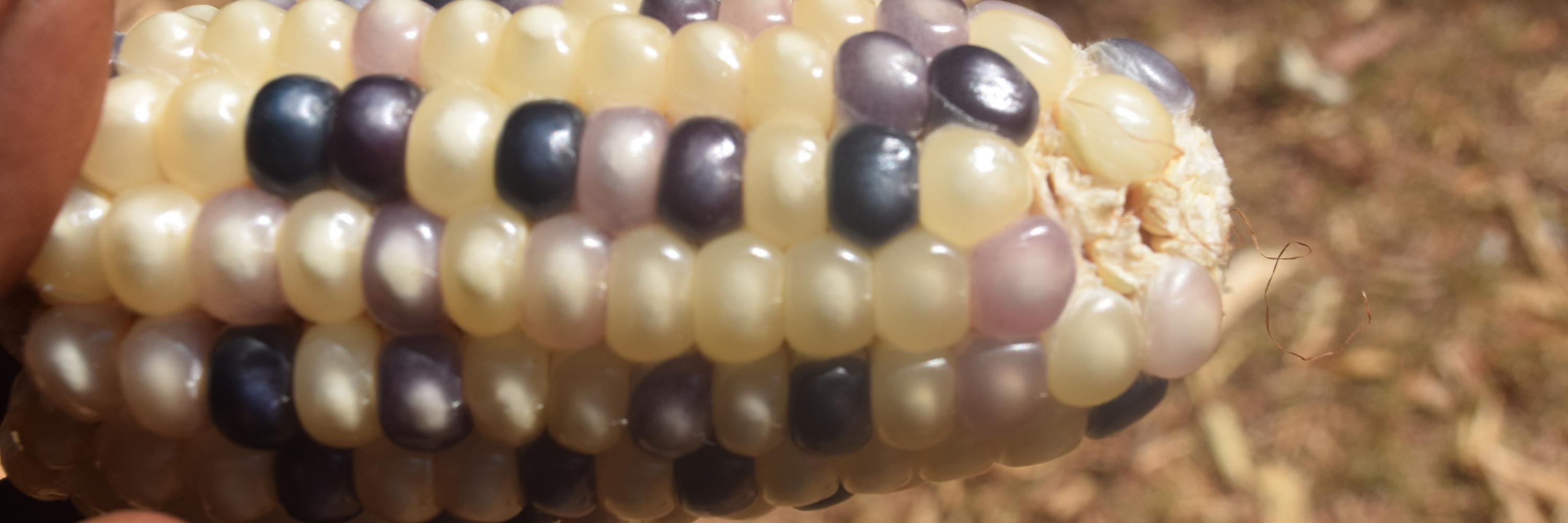 KefraKe's profile banner image
