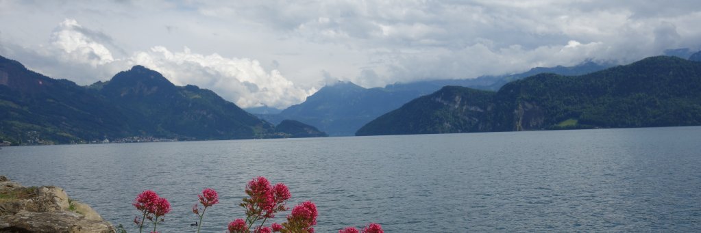 Rachel_Adler's profile banner image