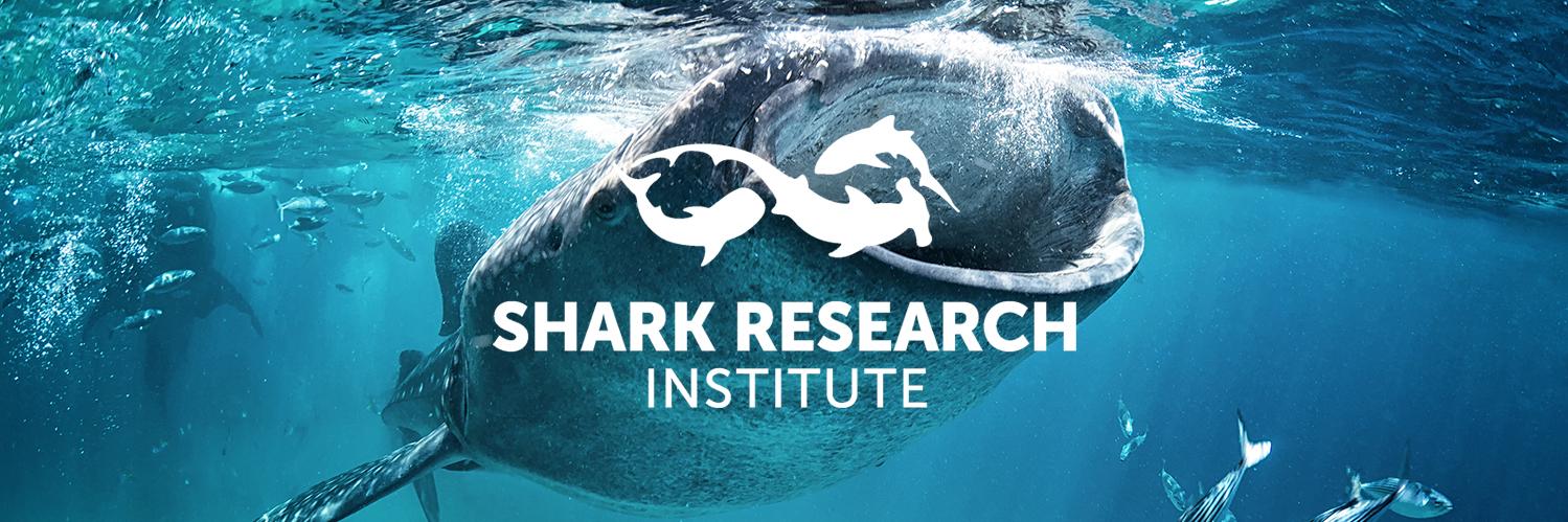 Shark Research Institute banner