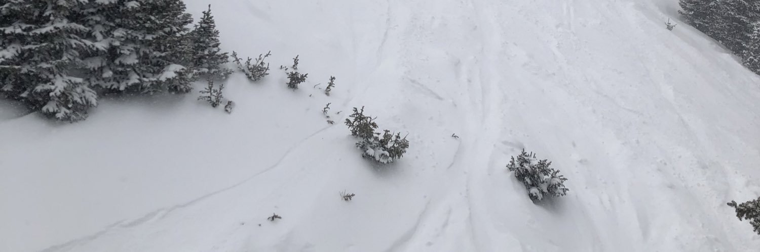 dazedlizard's profile banner image