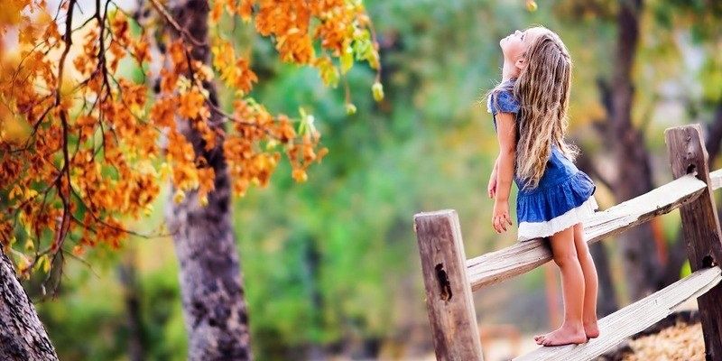 Amazing__Photo's profile banner image