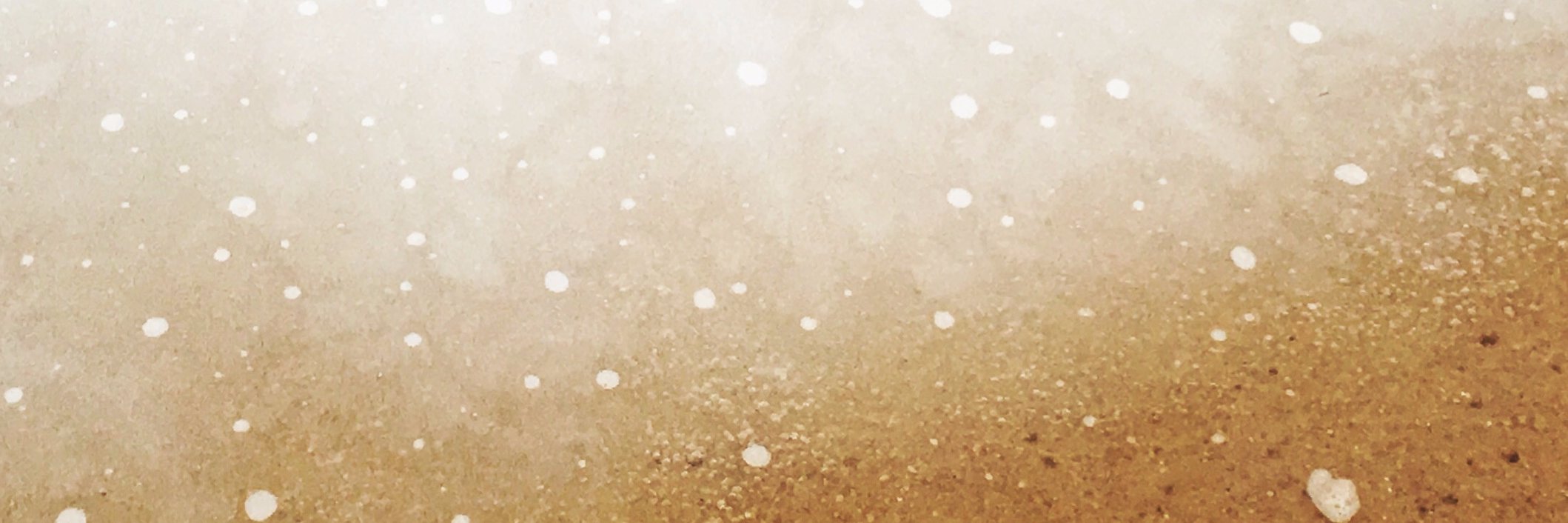 florabellerecs's profile banner image