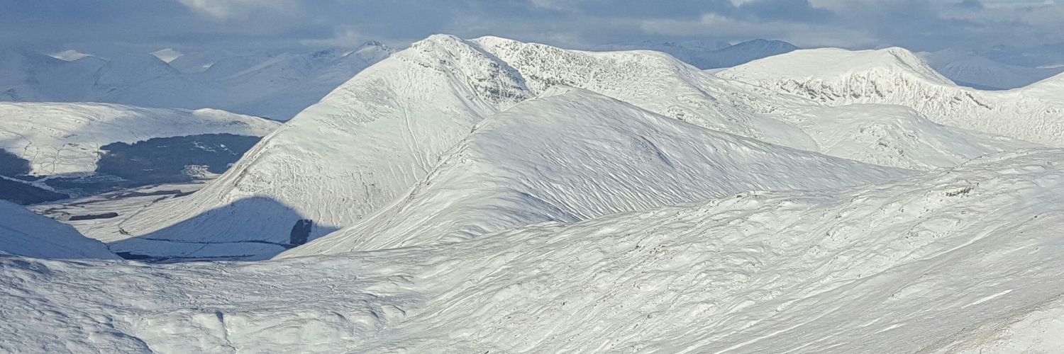 M a r k D a r l i n g banner