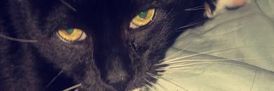 Jakeag01's profile banner image