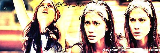Ckp_Asli's profile banner image