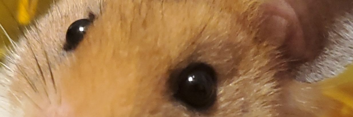 Sticky Tricky 🧼 💀 banner