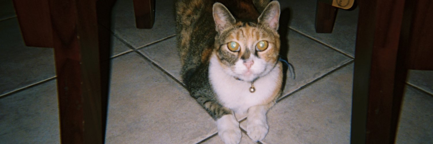 kat ☽ banner