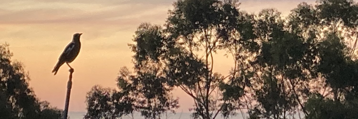 willlittleton77's profile banner image