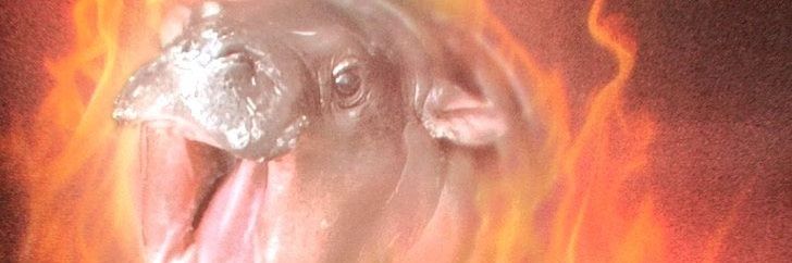 _shader's profile banner image