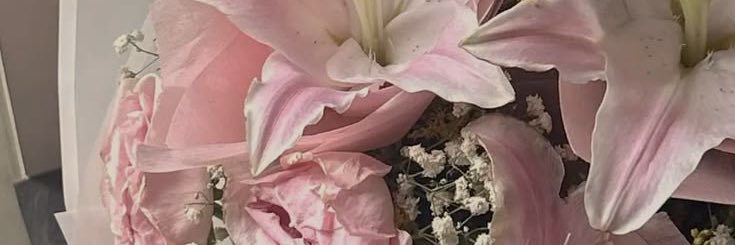 anne ʚɞ banner
