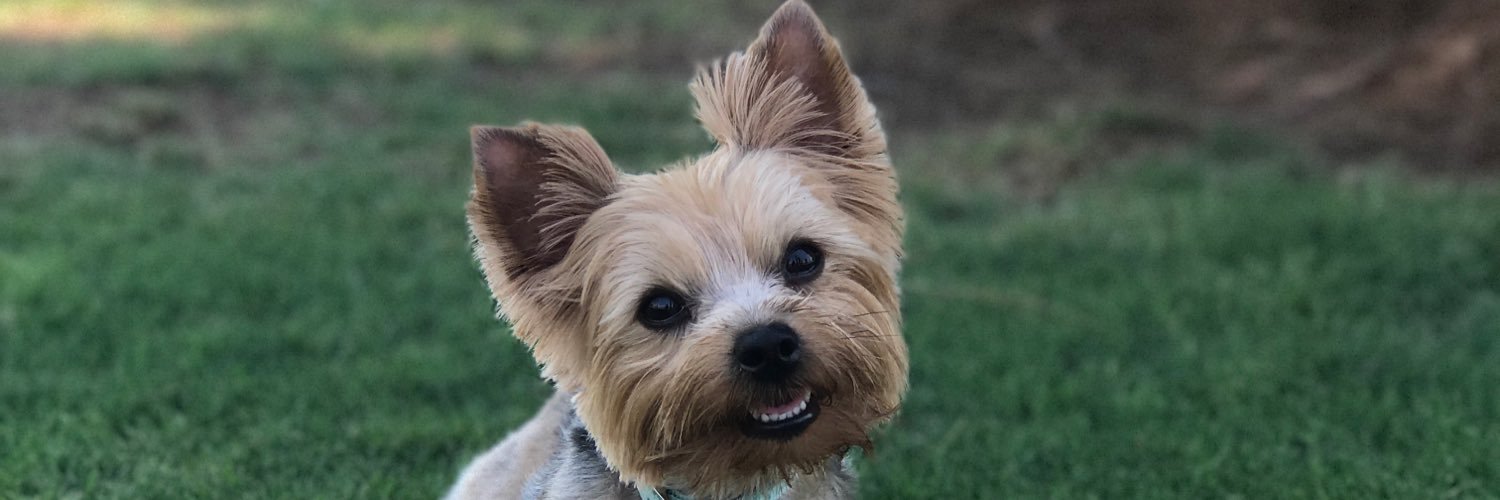 keeli_currie_'s profile banner image