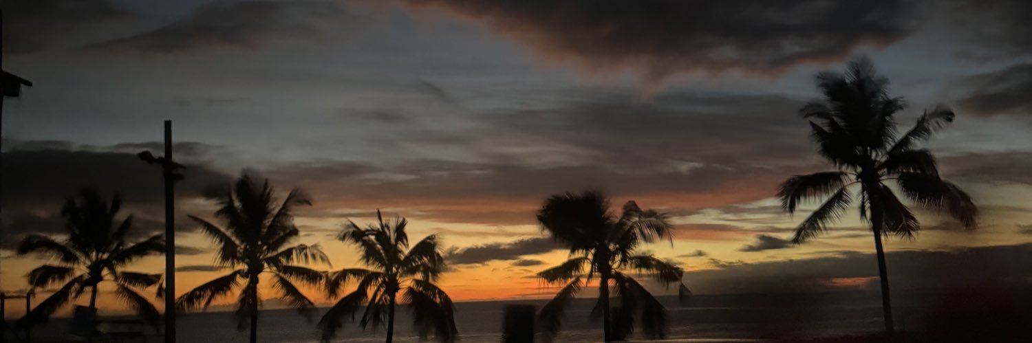 xllison_'s profile banner image