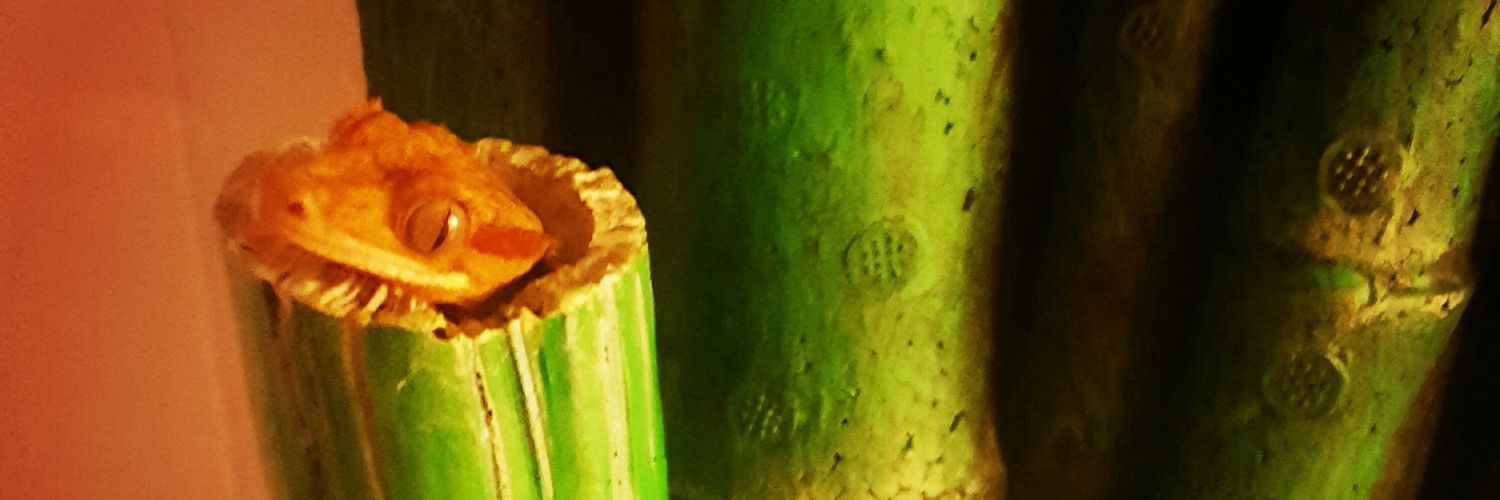 Cassandra Chappell banner