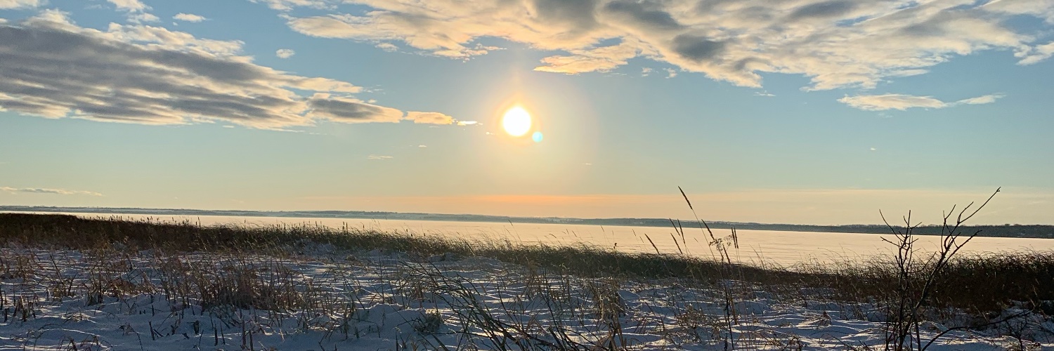 kelseysarascott's profile banner image
