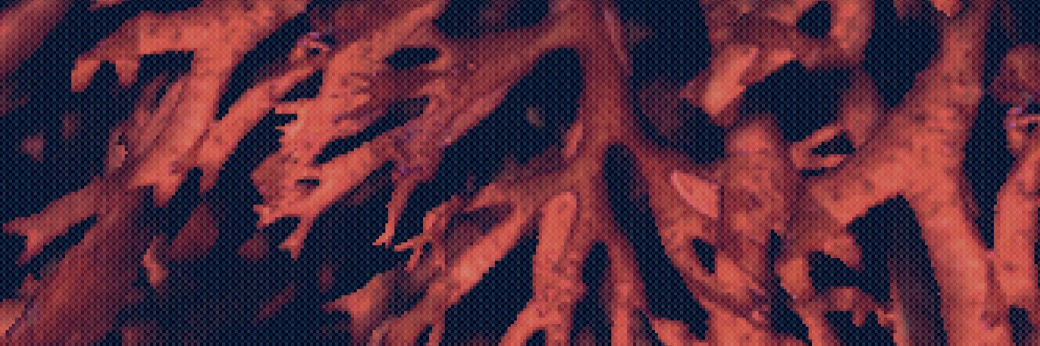 呉服 綾 banner