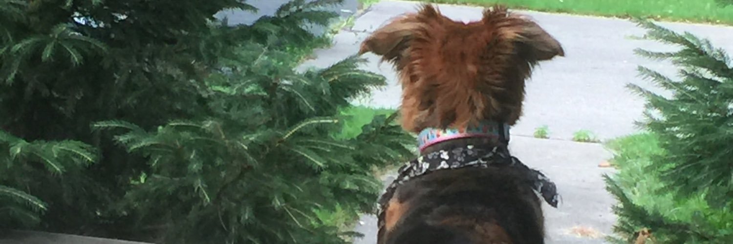 jakebickerstaff's profile banner image