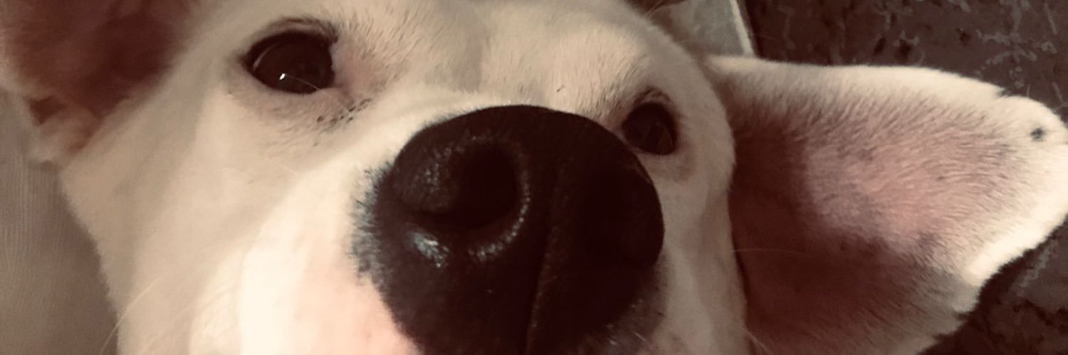 juanan____'s profile banner image