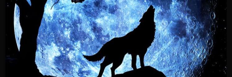 AdrianDaGawd's profile banner image