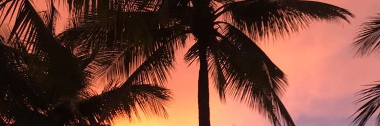 ANNtonovv's profile banner image