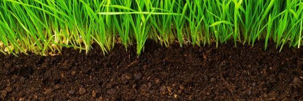 AvonVale_Turf's profile banner image