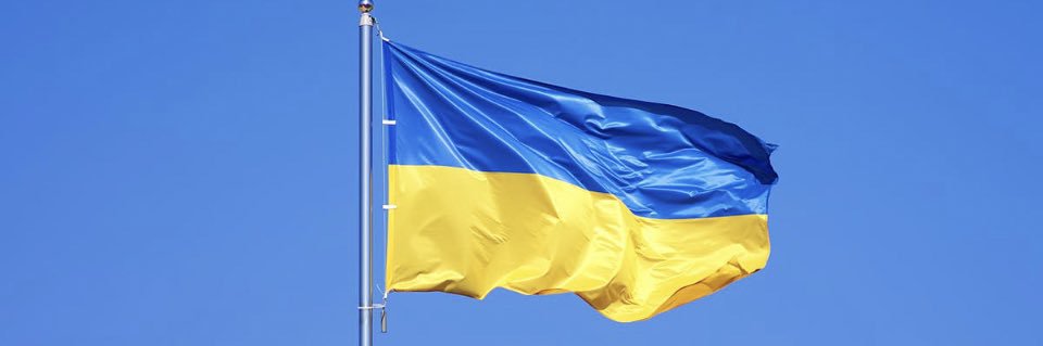 Elizabeth B Davis banner