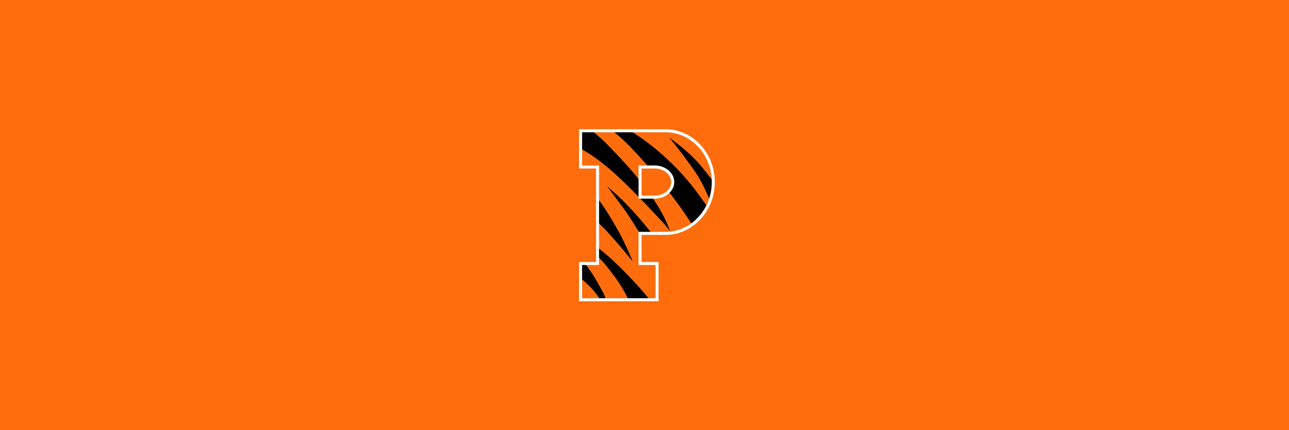 PrincetonIAS's profile banner image