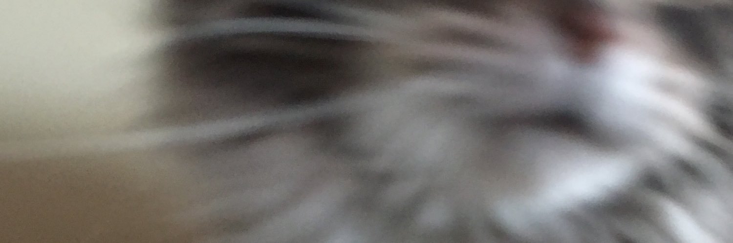 colesnap's profile banner image
