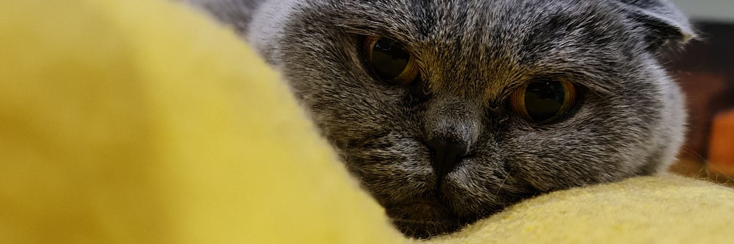 🇰🇼ولـد العـوضـي banner