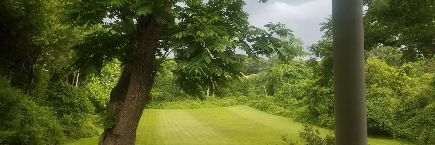 RICindylou's profile banner image