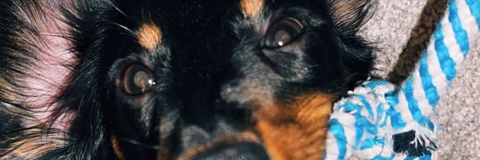 abigale_baker3's profile banner image