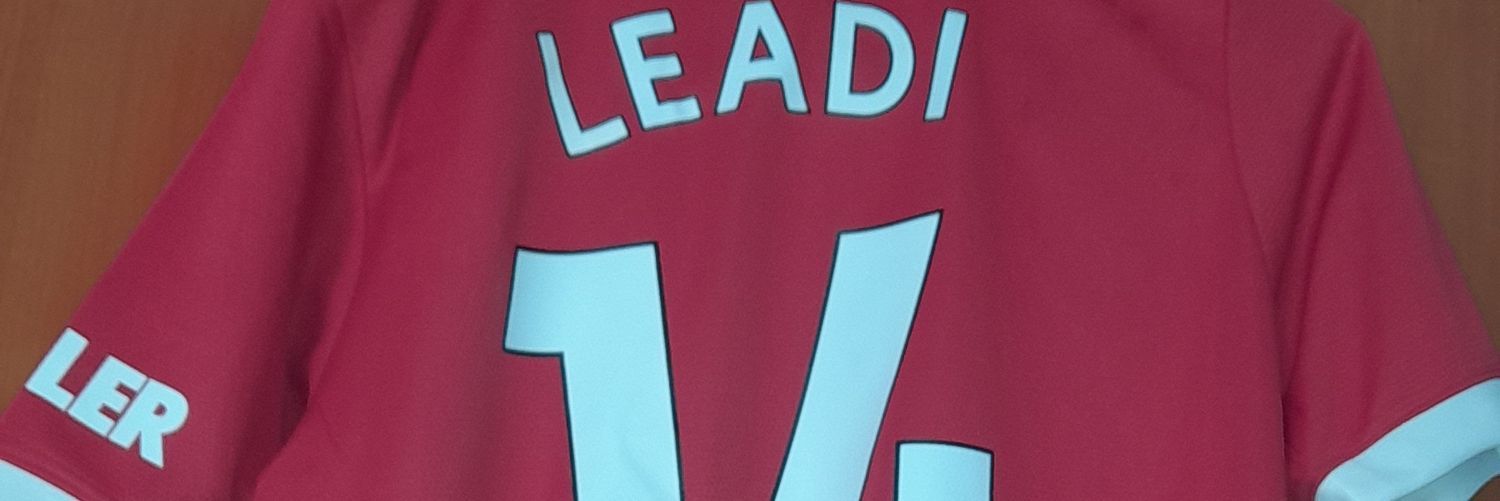 benardleadi's profile banner image