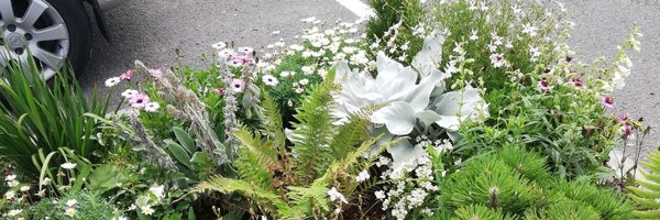 CoraFlynn13 Profile Banner