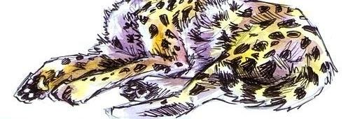shennydelight's profile banner image