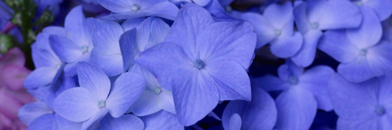 _AbbaLopez's profile banner image