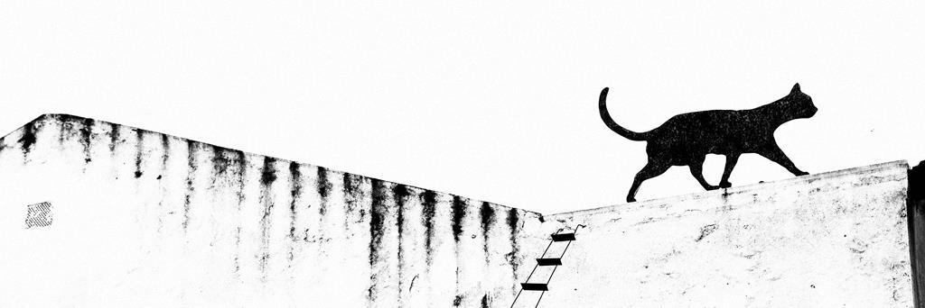 fake_daze's profile banner image