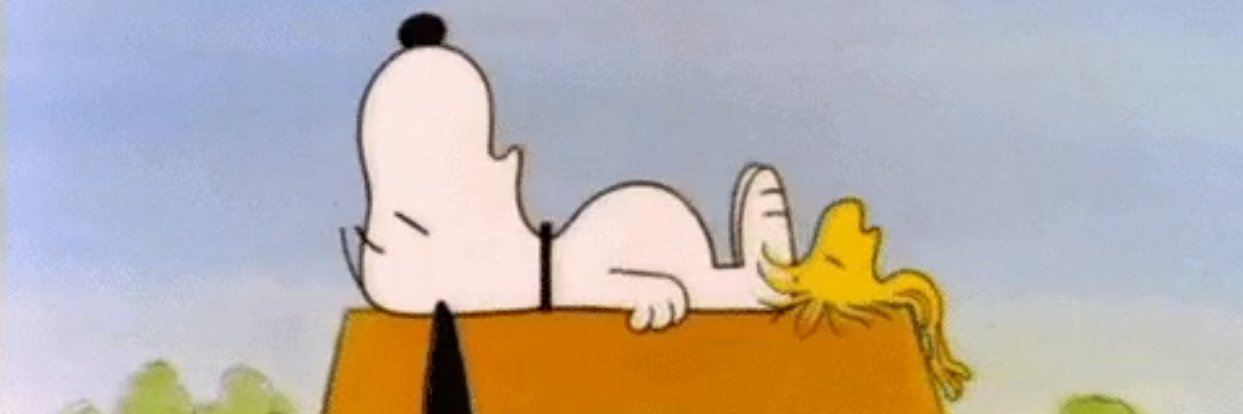 hazey's banner