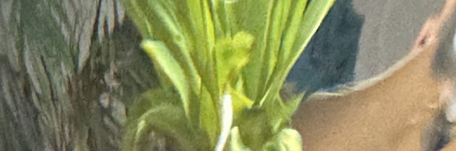 kevin chen banner