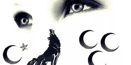 smsmetin's profile banner image