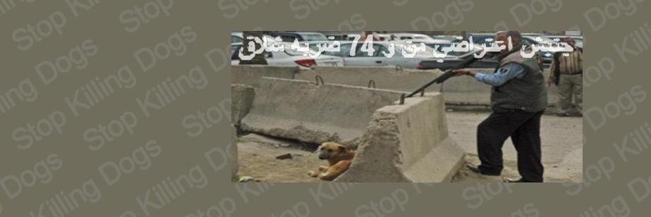 SupportIranDogs's profile banner image