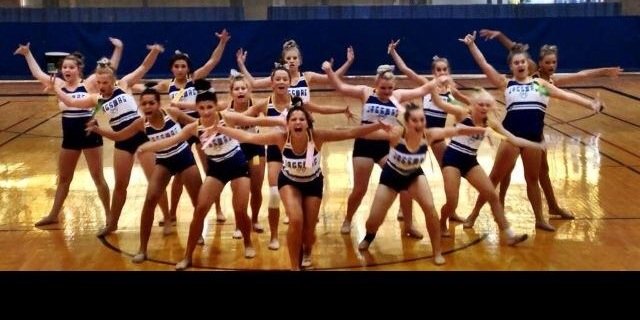 Kelly Stevens banner