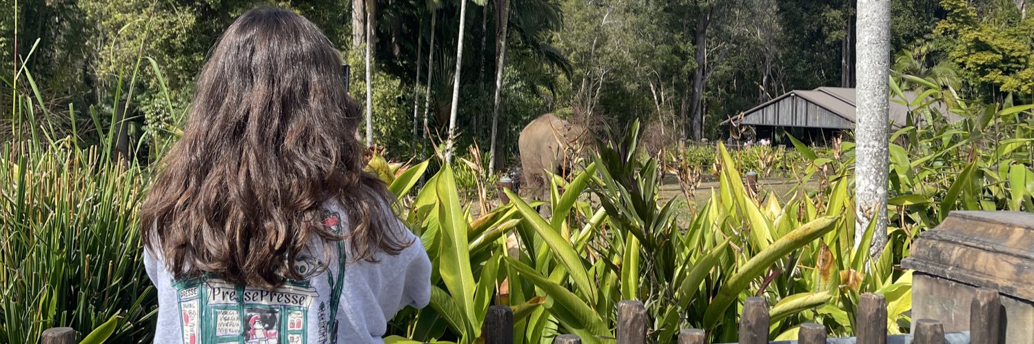 Sarinachez's profile banner image