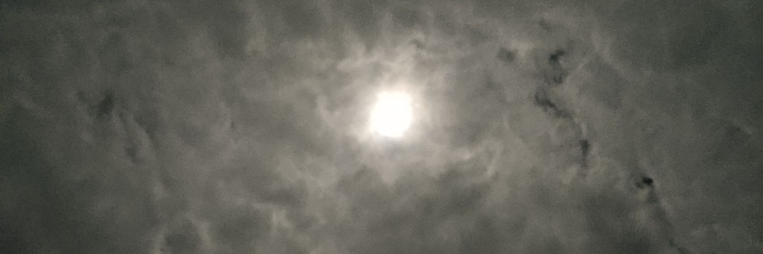 𝒜𝓎𝓊𝒹𝒾𝓉𝒶 🌸 banner