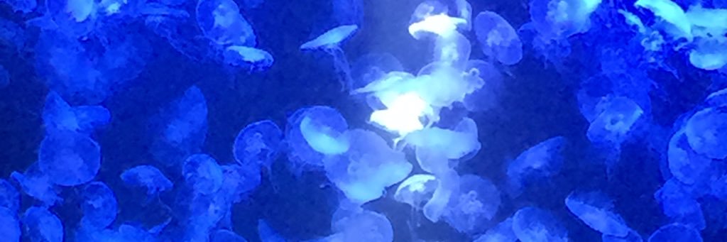 まっはまは banner