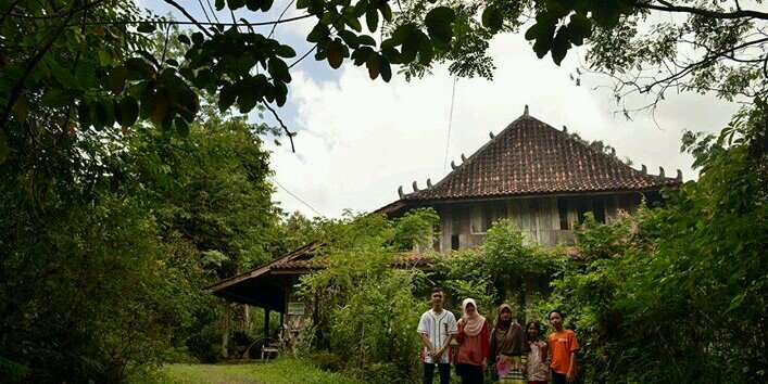 Daliessia Ngadi banner