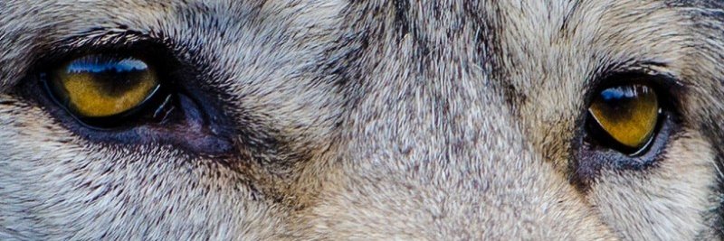 LeonV2070's profile banner image