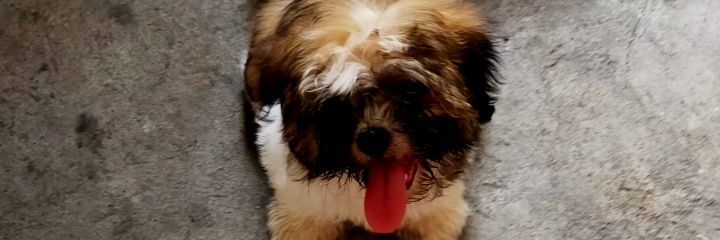Paolooo_'s profile banner image