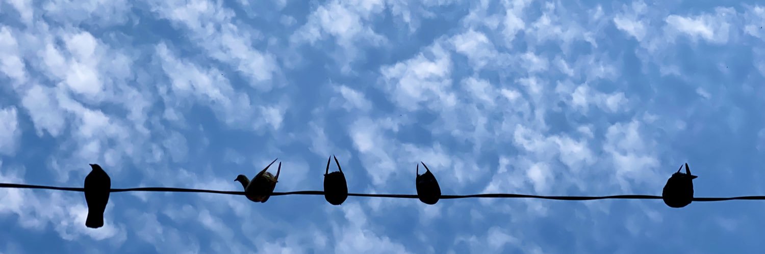 ToniPires's profile banner image