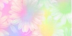 ClaraWA's profile banner image