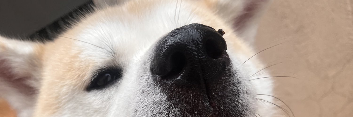 MecBrunao's profile banner image